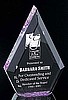 Heavy Arrowhead Award (7"x5"x1 1/4")